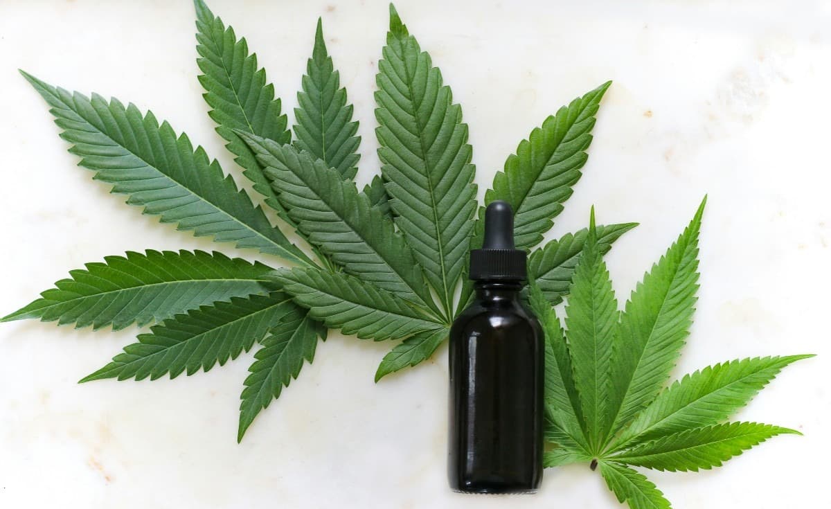 CS Medica särnoterar dotterbolaget Cannordic till extremt värderingsförhållande