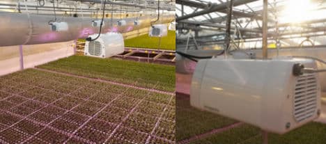 VD-intervju inför notering av Heliospectra