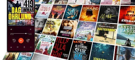 Storytel är en möjlig kursdubblare skriver Dagens Industri