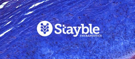Stayble Therapeutics IPO får teckna-rekommendation av analytiker