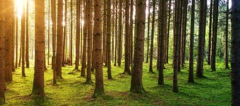 Latvian Forest säljer inte tillgångarna