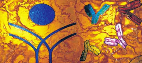 Biotech-IgG har stigit 2320 % i år