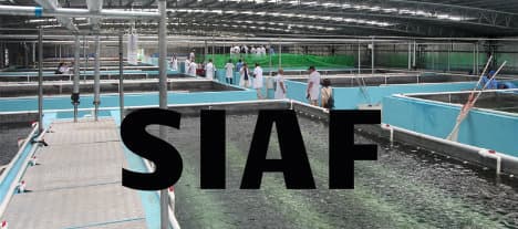Sino Agro Food noterar sig på ny marknadsplats i Norge