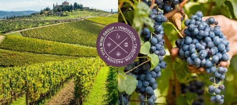 Viva Wine Group får en köprekommendation av Affärsvärlden