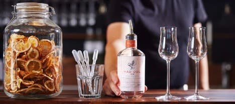 Två spritbrännerier och två ölbryggerier med noteringsplaner