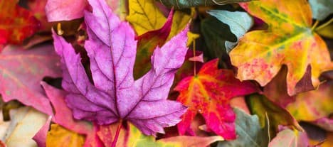 Gaming och fastigheter noteras under oktober