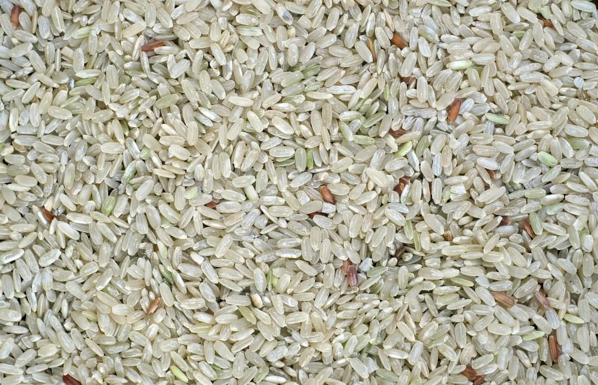 Nordic Rice ger sin syn på saken