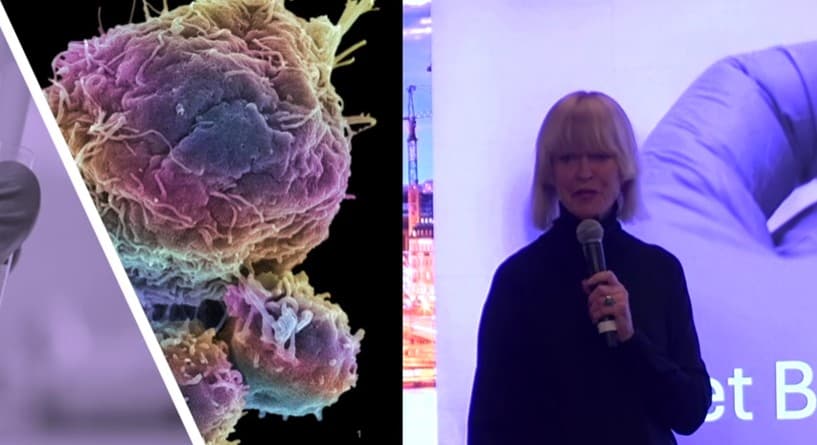 Hamlet BioPharma närmar sig avgörande fas, lovande resultat inom både cancer och infektioner