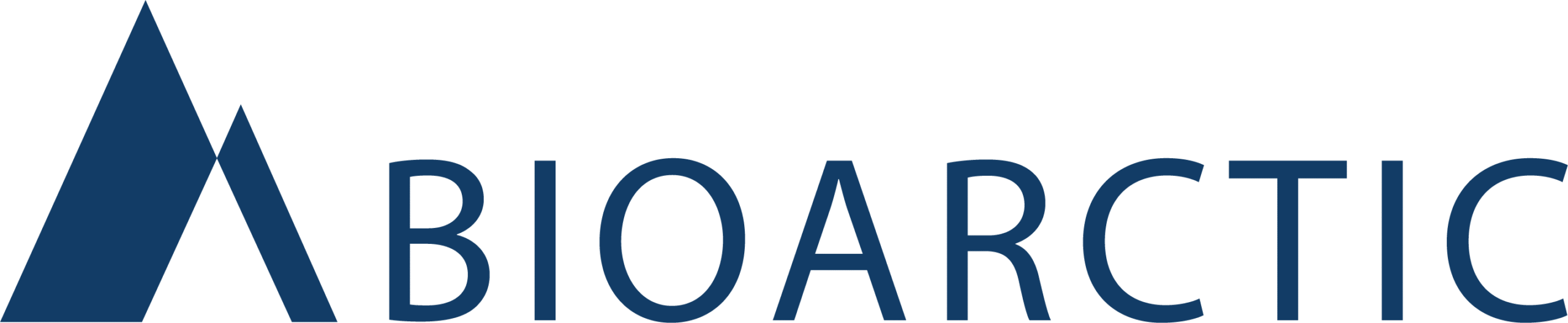 Företagsinformation
