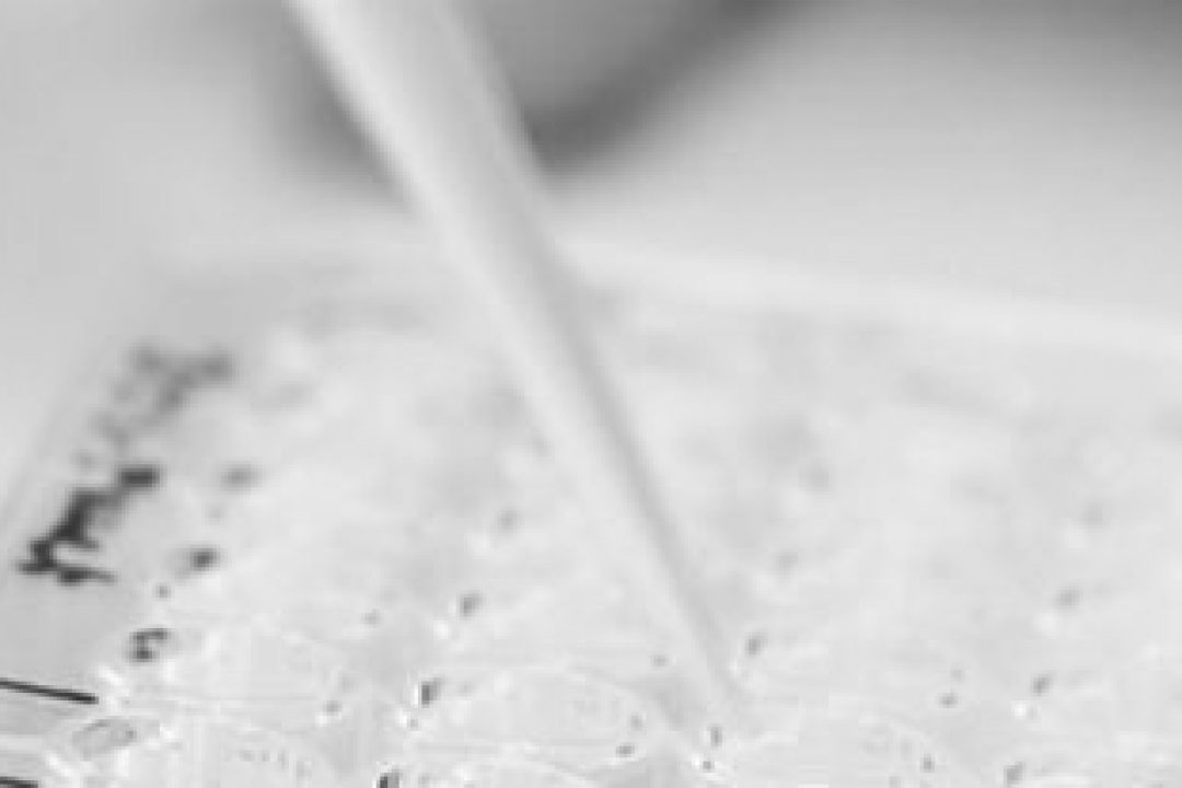 Udda upplägg på nyemission hos Alligator Bioscience