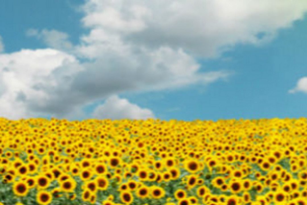 16 bra aktier enligt Jordanfonden