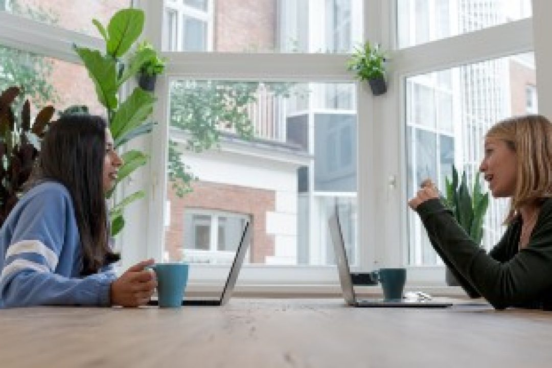 6 kommande noteringar under hösten