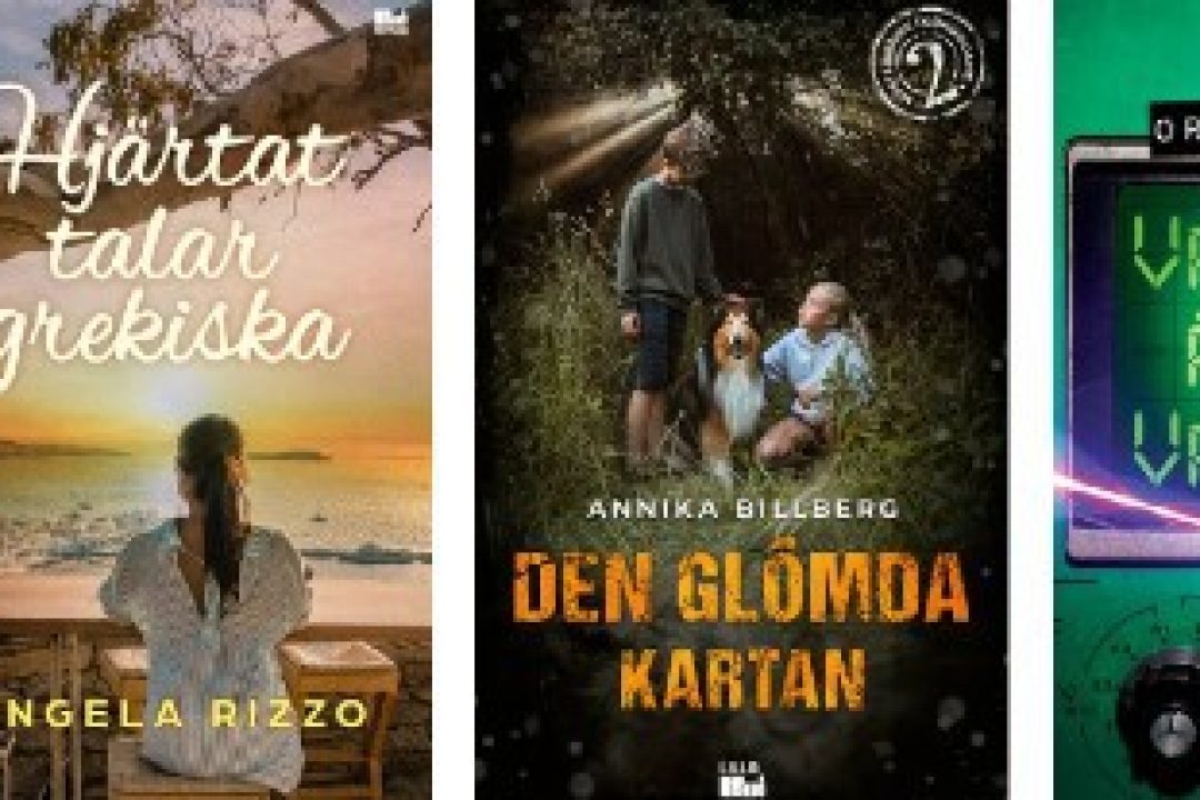 Hoi Publishing har en intressant modell men värderingen i noteringserbjudandet är för högt