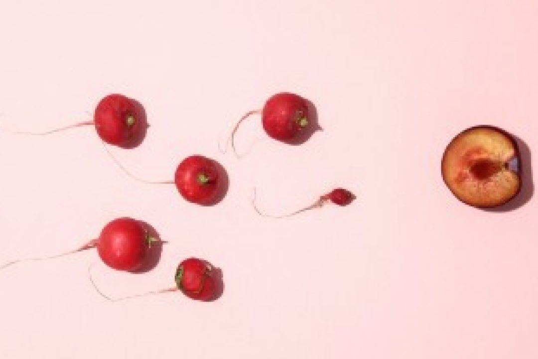 Spermosens IPO får teckna-rekommendation av analytiker