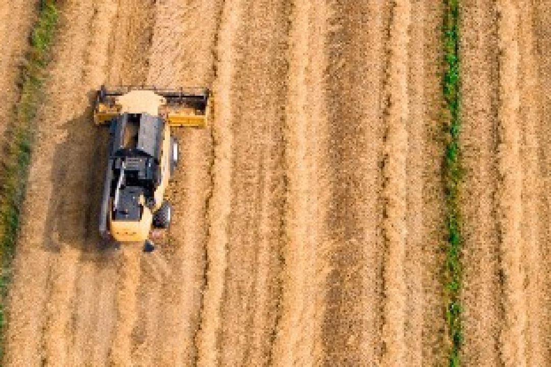 Cinis Fertilizer kommer att göra världens mest miljövänliga gödselmedel