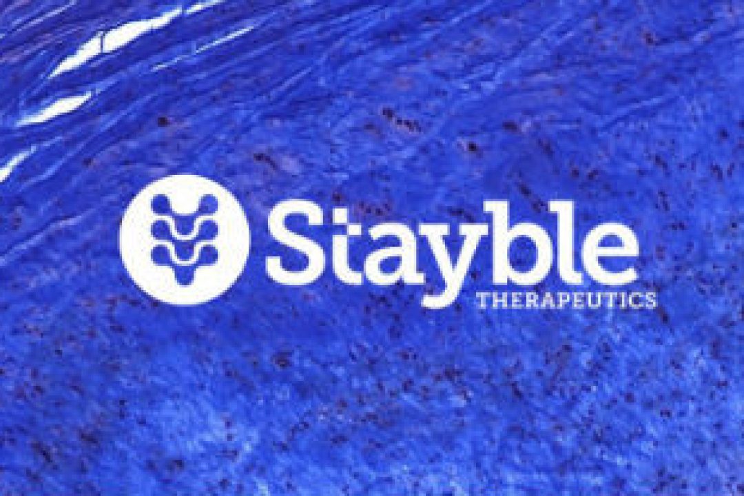 Stayble Therapeutics IPO får teckna-rekommendation av analytiker