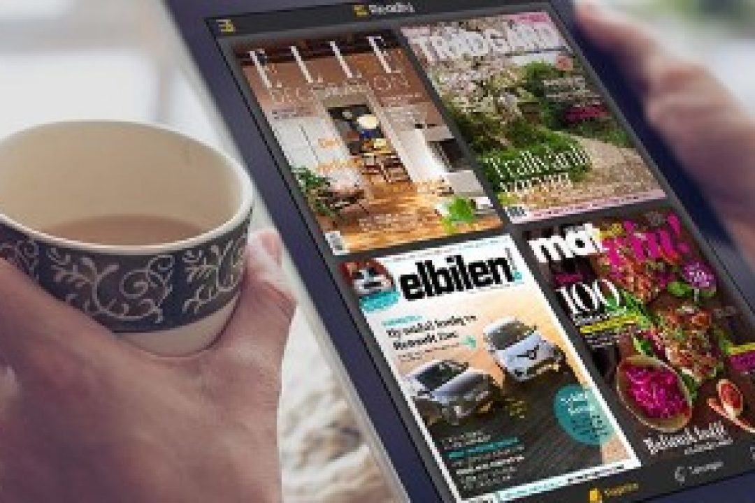 Skilda åsikter om Readlys IPO-erbjudande bland analytiker