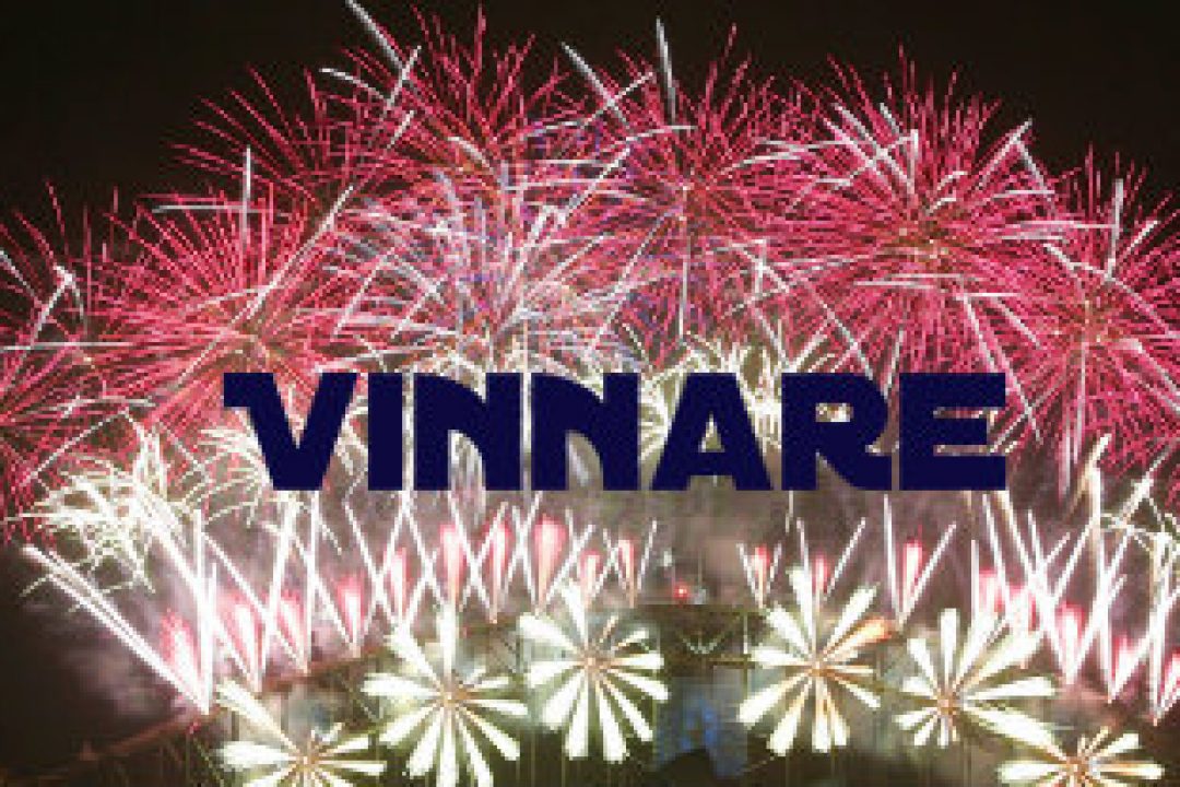De stora vinnaraktierna år 2013