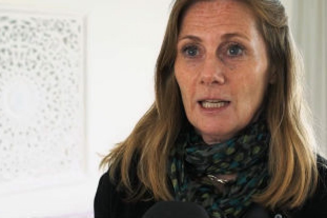 De politiska vindarna passar noteringskandidaten Besqab