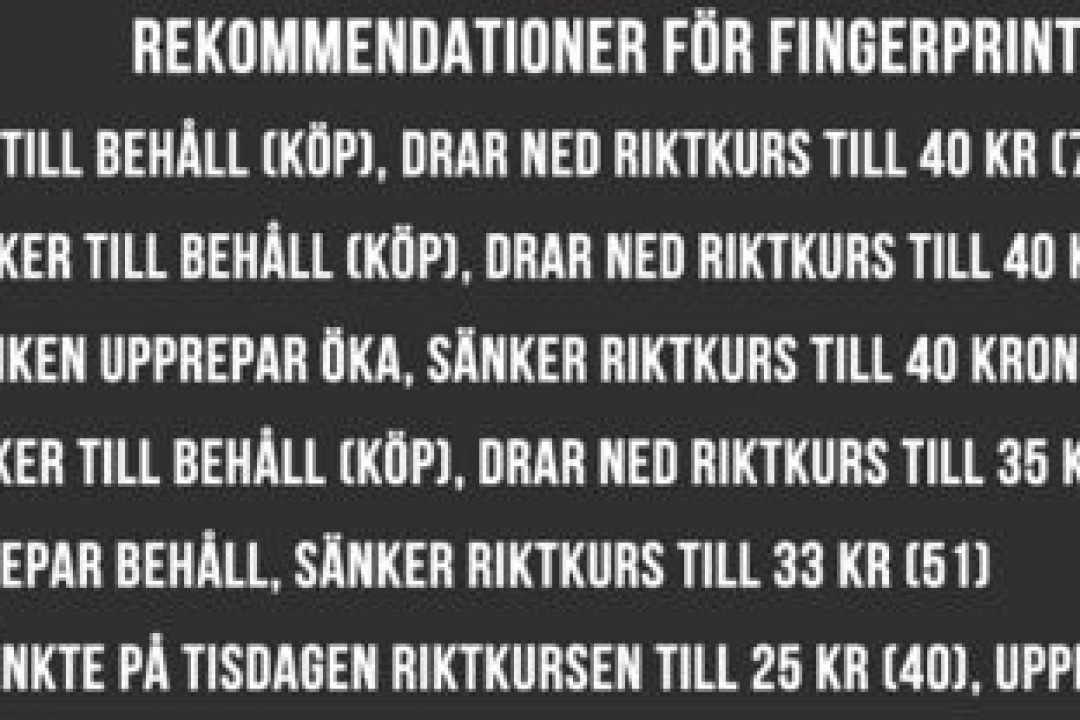 Analytiker om Fingerprint Cards