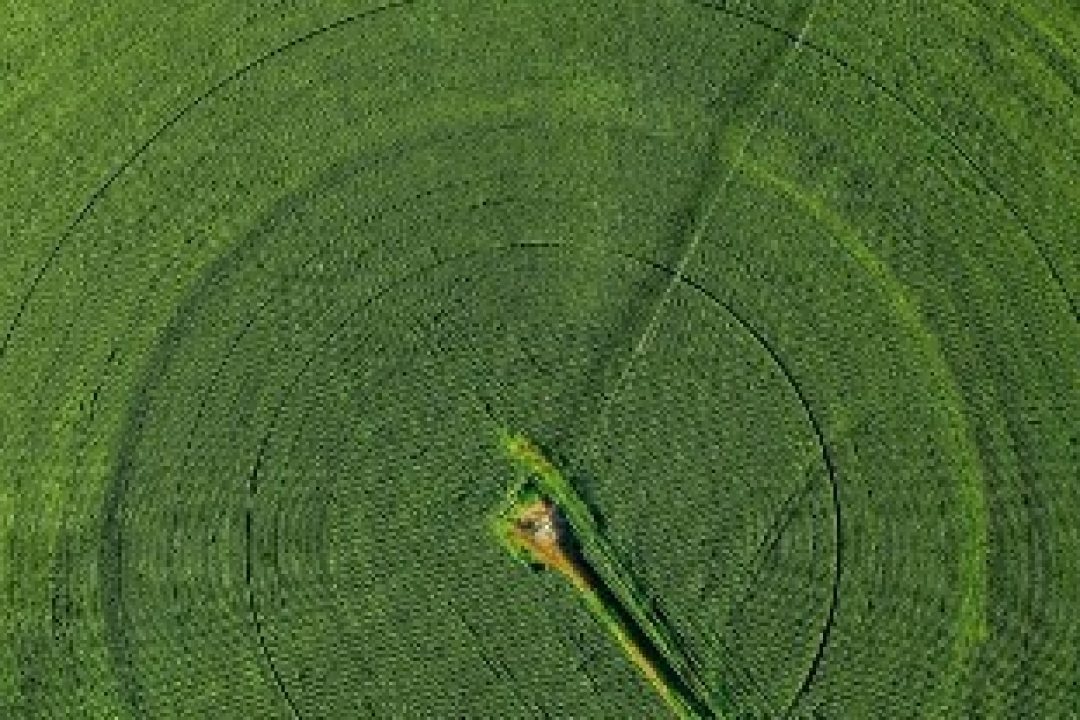Cinis Fertilizer har säkrat insatsvaror till alla fyra produktionsanläggningar