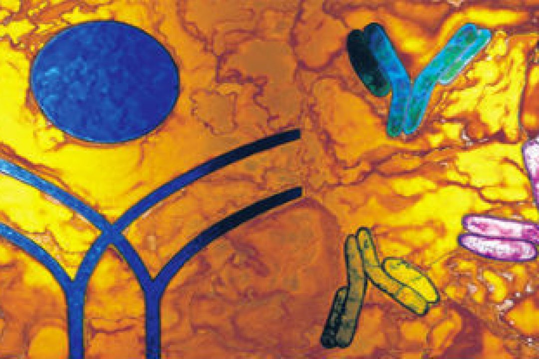 Biotech-IgG har stigit 2320 % i år