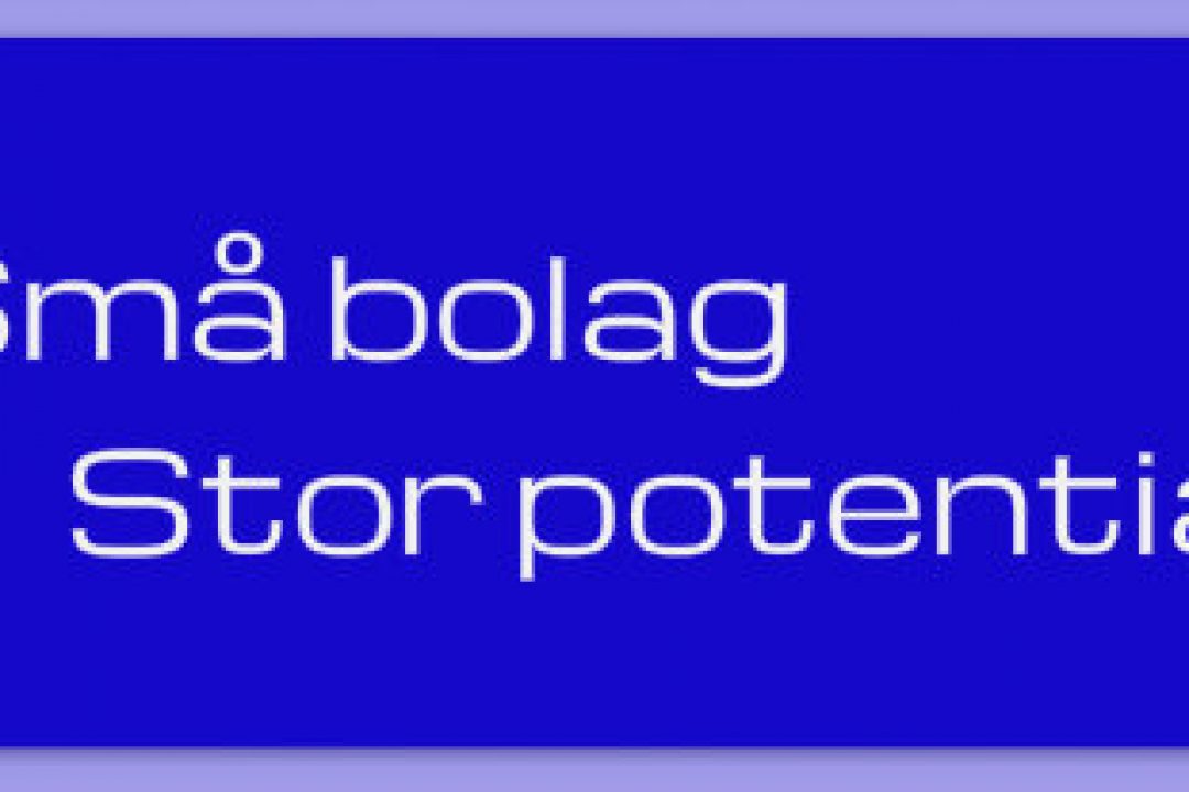 Fem köpvärda aktier i småbolag