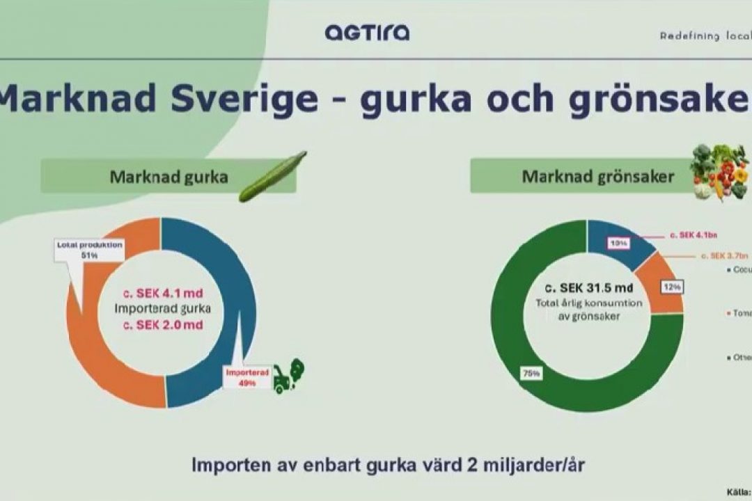 Marknaden för gurka och grönsaker i Sverige