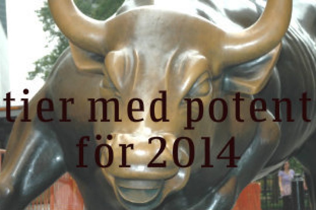 Fem aktier med stor potential för 2014