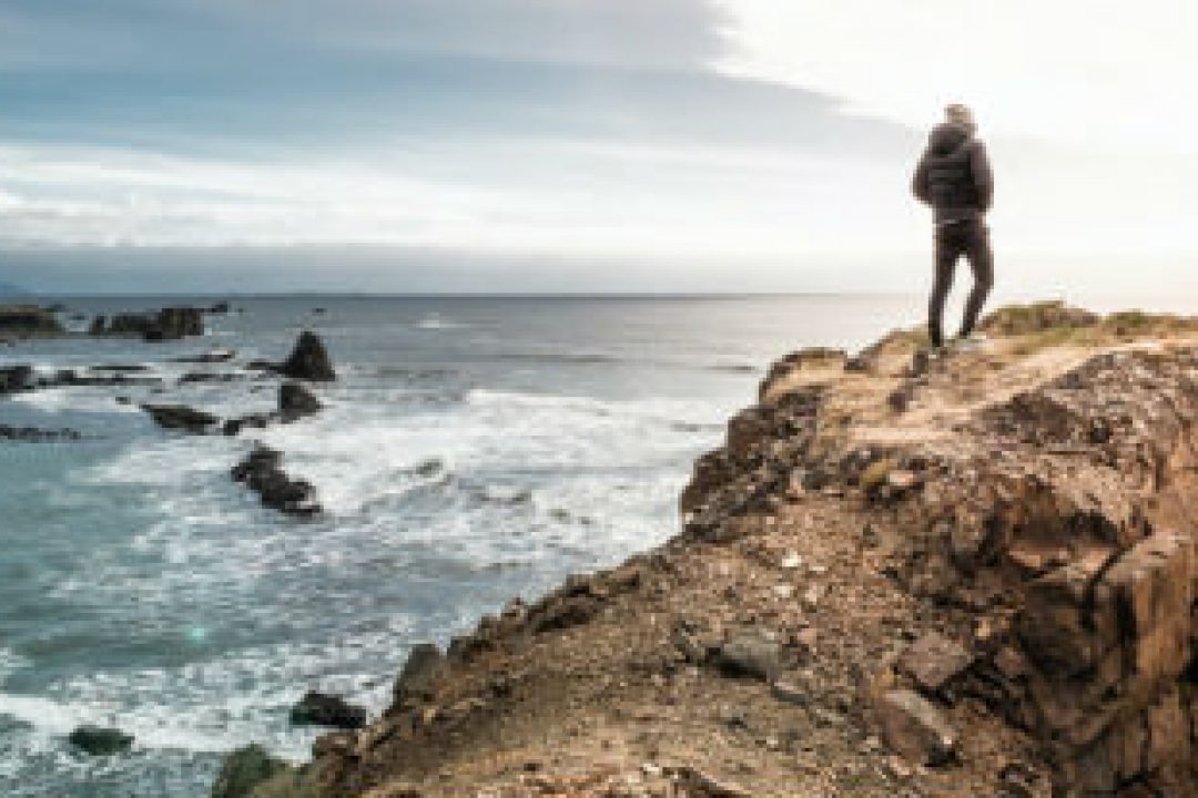 Nio bra aktier under coronakrisen