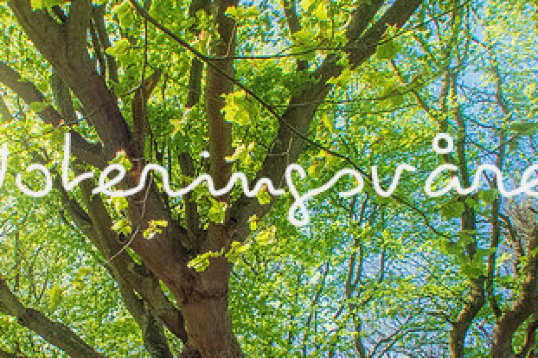 Fem företag som noterar sig under våren