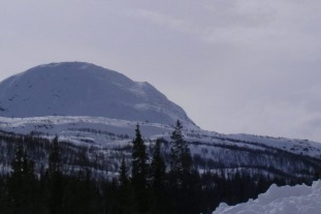 Bluelake Mineral har den största kända oexploaterade nickelfyndigheten i Europa