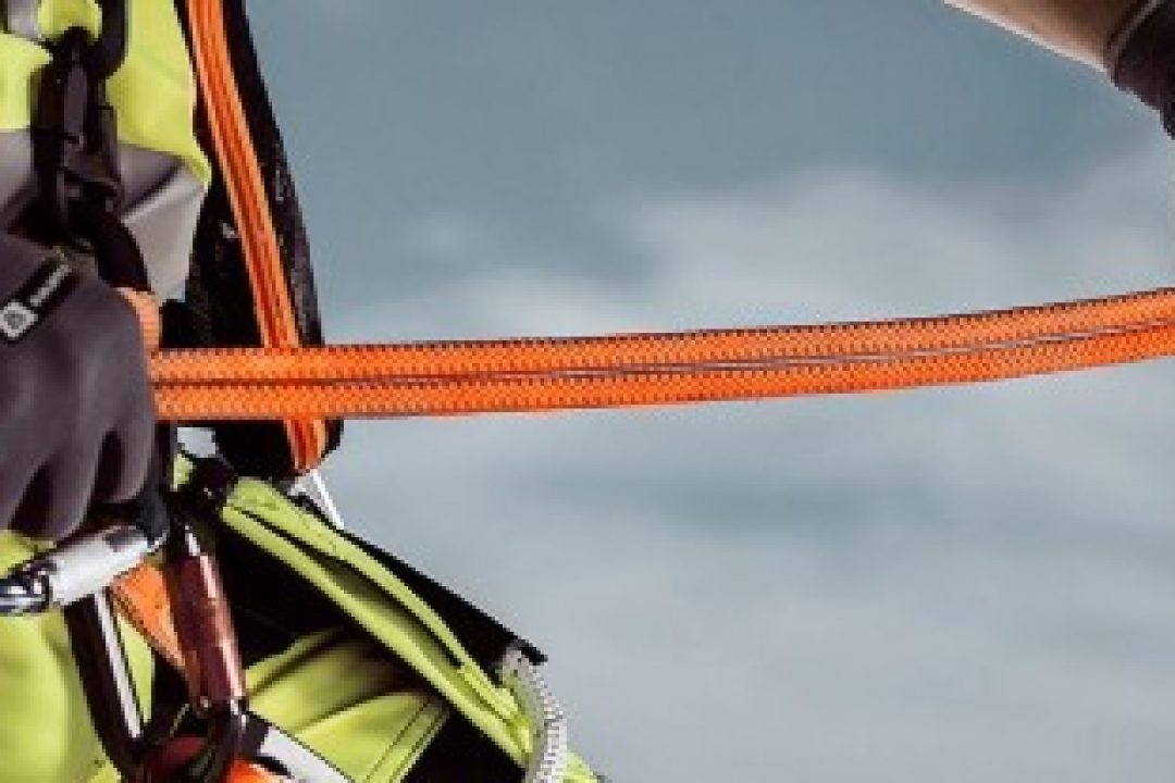 Alligo kan bli ett riktigt vilddjur till serieförvärvare