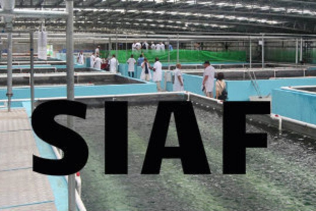 Sino Agro Food noterar sig på ny marknadsplats i Norge