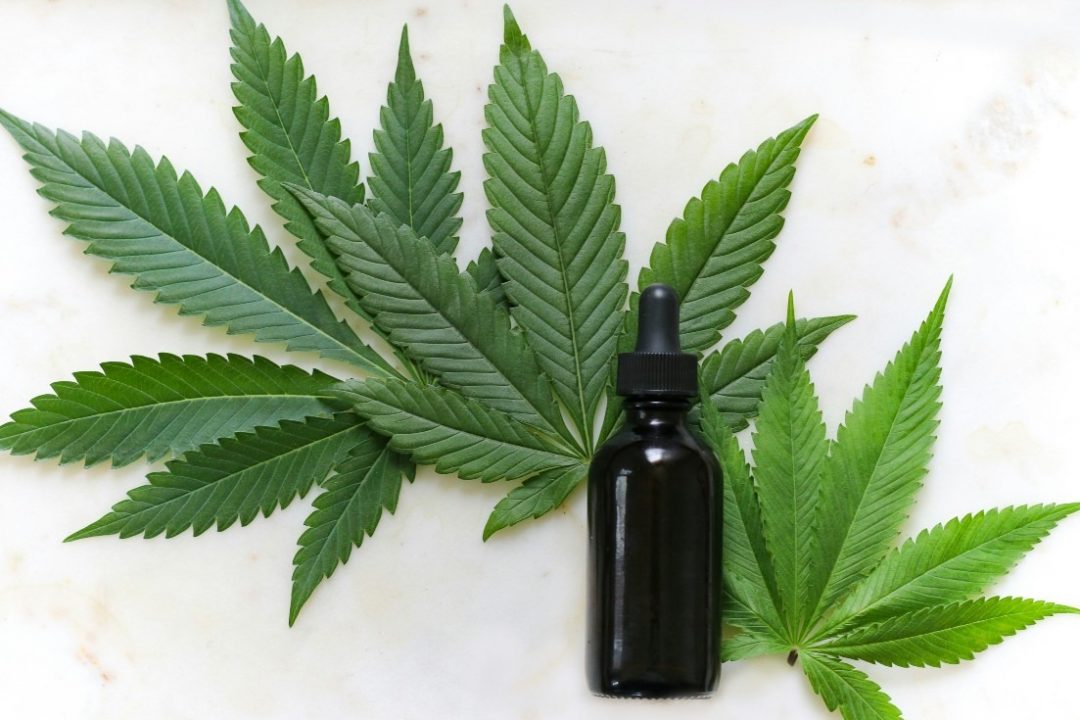 Cannabis är CS Medicas verksamhet