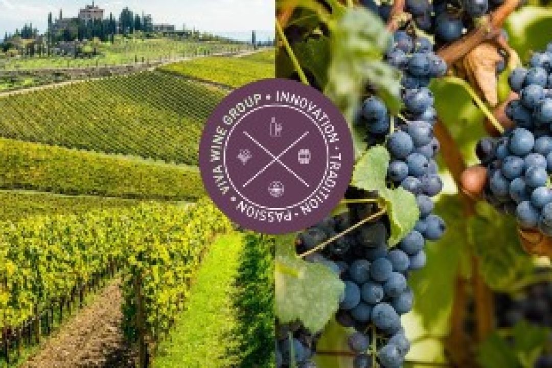 Viva Wine Group får en köprekommendation av Affärsvärlden