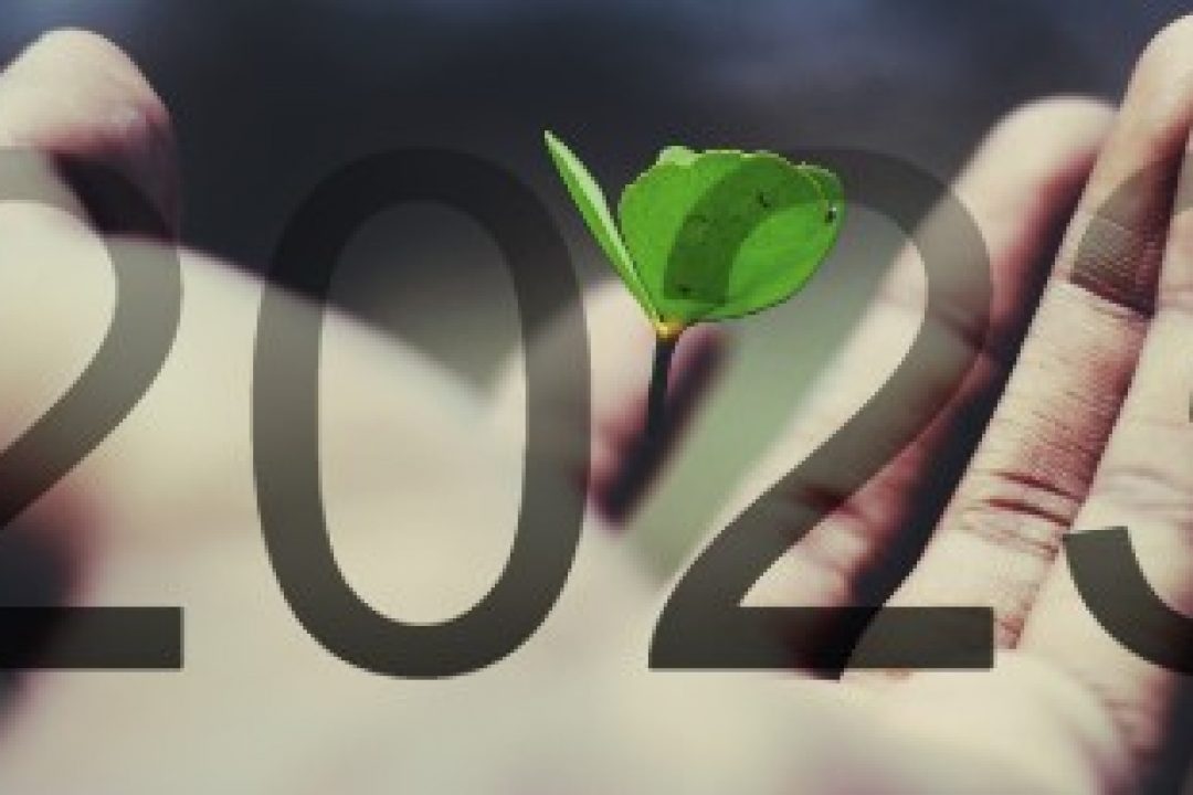 6 kommande noteringar under 2023