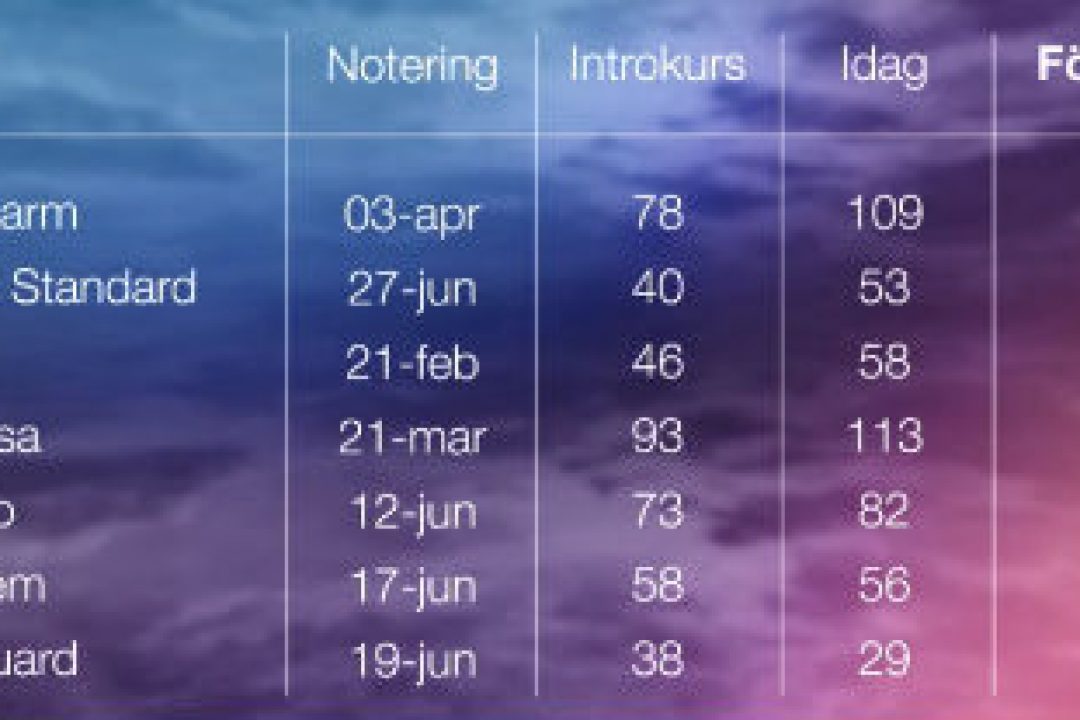 Bra år för noteringar på börsen