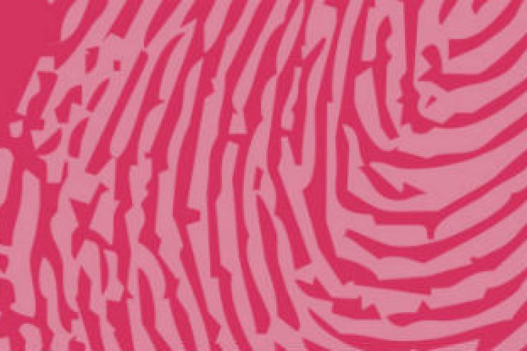 Fingerprint Cards-analyser med spretiga värderingar