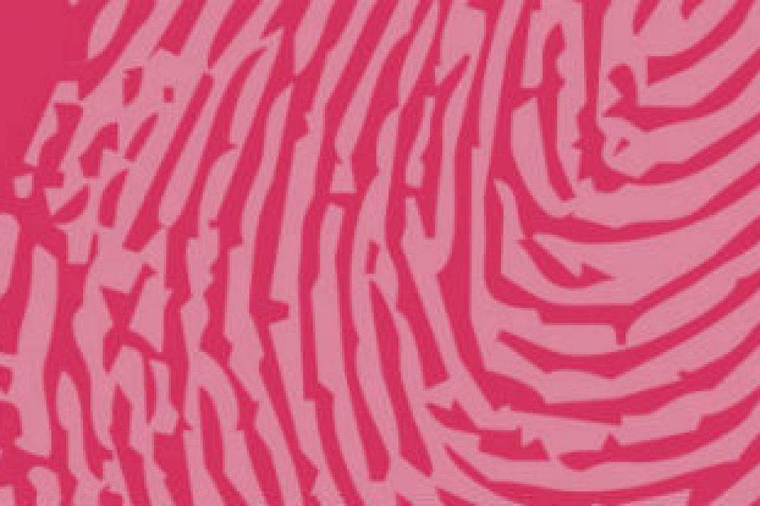 Fingerprint Cards-analyser med spretiga värderingar