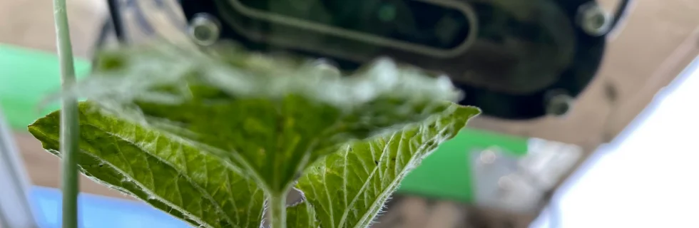 Ekobot inspekterar odling