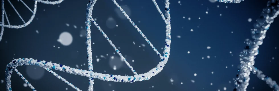 Oblique utvecklar för hälsa