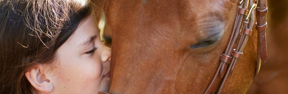 Intervacc hjälper hästar