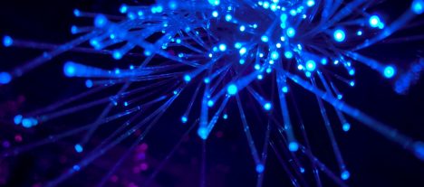 Optisk fiber för bredband