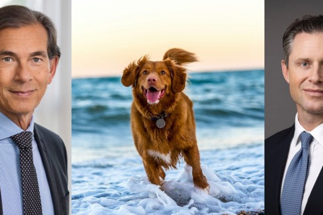 VD och investerare på Vivesto