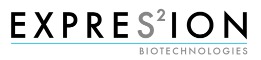 ExpreS2ion Biotech Holding AB