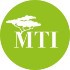 MTI Investment SE