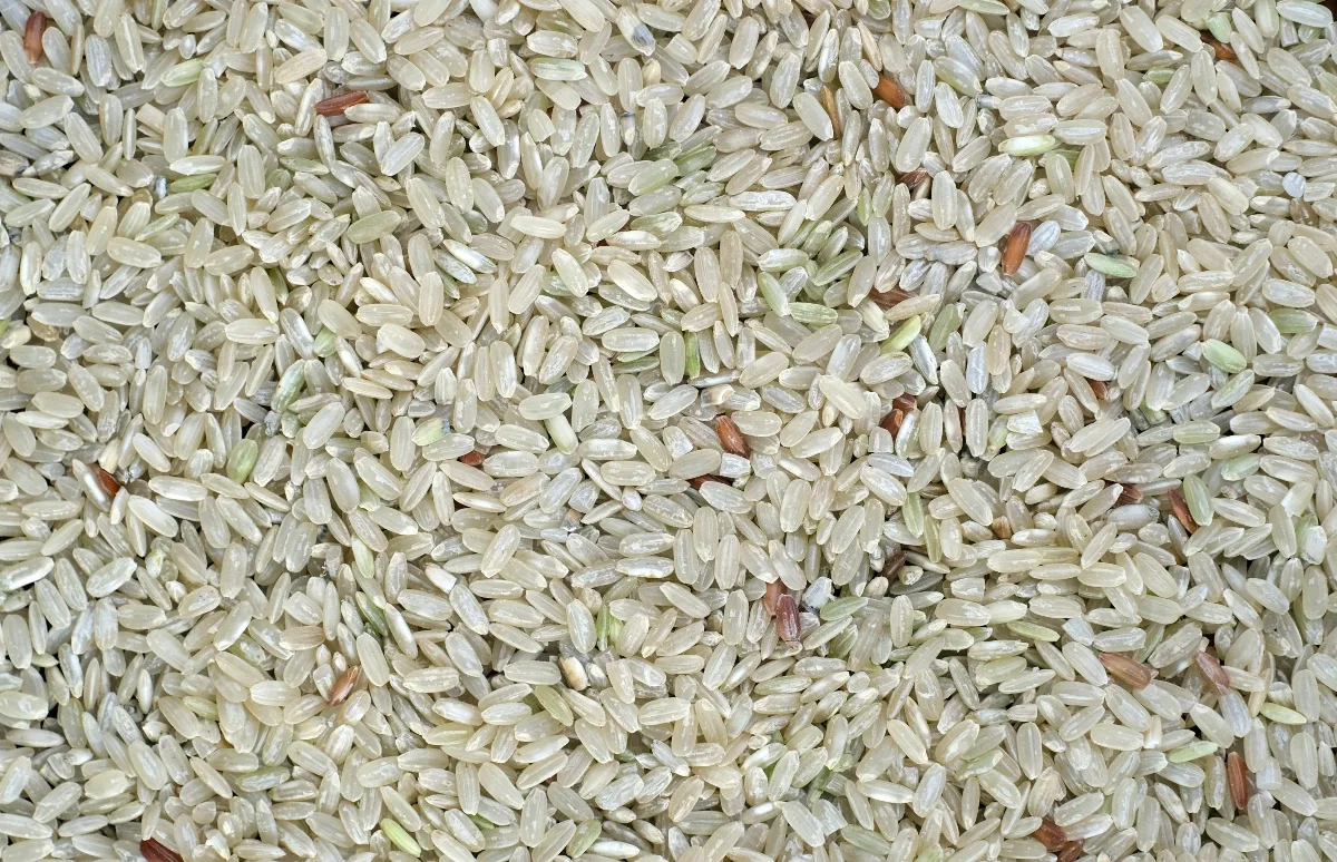 Nordic Rice ger sin syn på saken | Nyemissioner.se