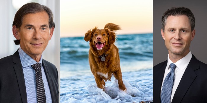 VD och investerare på Vivesto